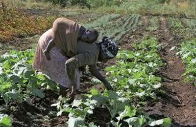 KZN chiefs deny women land