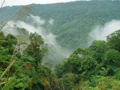 US reduces Indonesian debt in exchange for wildlife protection