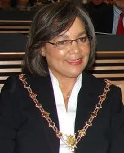 De Lille's comments 'misleading': Presidency