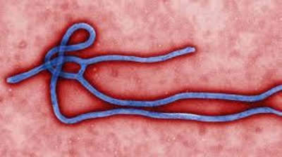 US doctor cleared of Ebola virus