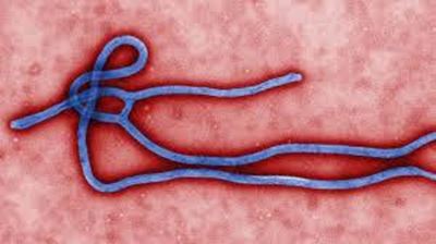 US doctor cleared of Ebola virus