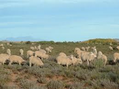 Play your part to curb stock theft
