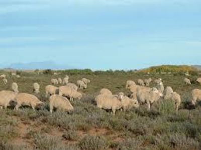 Play your part to curb stock theft