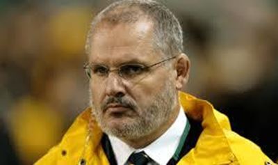 Wallabies an 'absolute shambles' - media