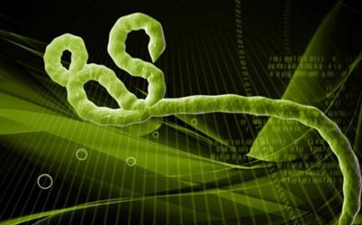 Doctors hopeful as Spain Ebola nurse survives 2 weeks