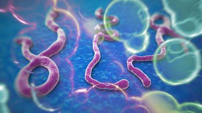 Ebola outbreak puts pressure on human rights