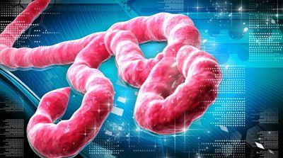 Nigeria declared Ebola-free