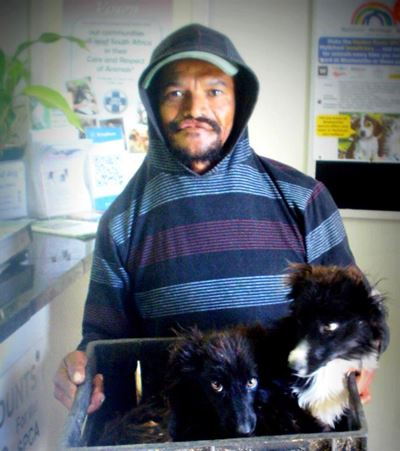 Saved puppies now up for adoption