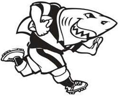 Sharks season no failure: coach
