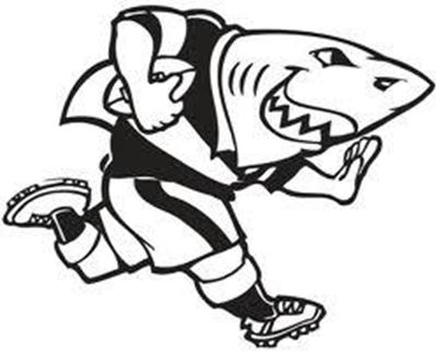 Sharks season no failure: coach
