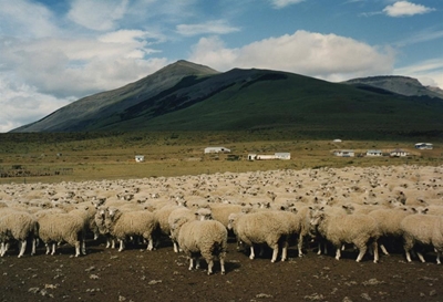 Family farms crucial to agri production