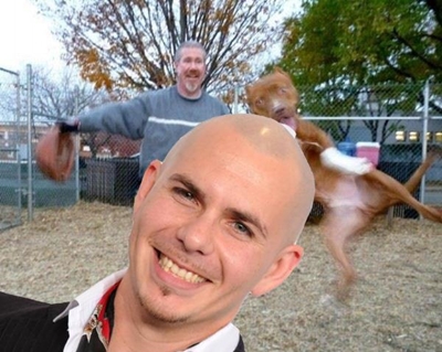 Photobomb voted word of the year
