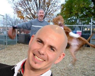 Photobomb voted word of the year