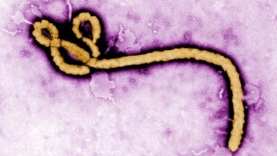 Belgium stops deportation to Ebola-hit African countries