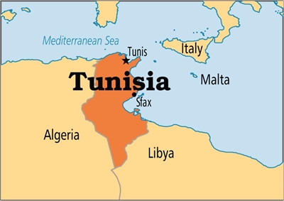 'Free' Tunisia polls offer Arab Spring ray of hope