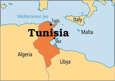 'Free' Tunisia polls offer Arab Spring ray of hope