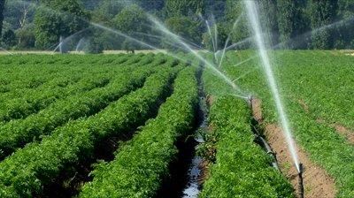 Smart irrigation saves water