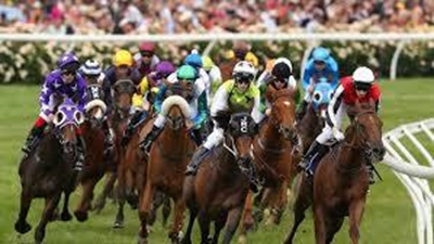Protectionist wins Melbourne Cup, favourite dies