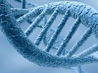 Scientists find mechanism for spontaneous HIV cure