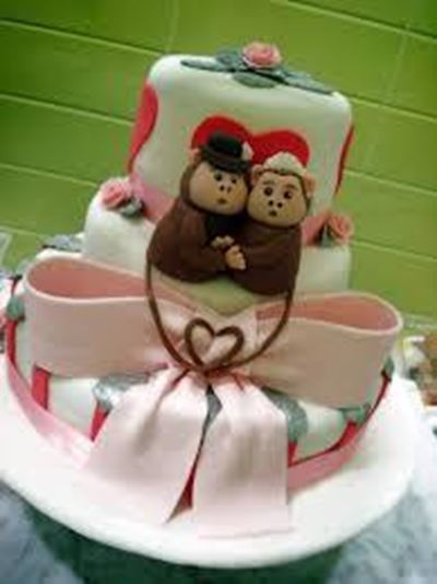 India village holds wedding for 'monkey couple'