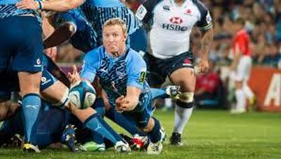 Vermaak replaces injured Pienaar in Springbok squad