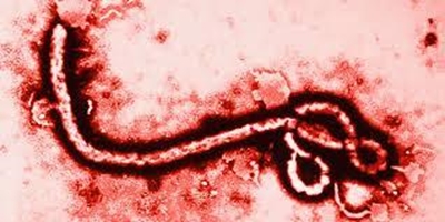 Facebook launches charity Ebola button