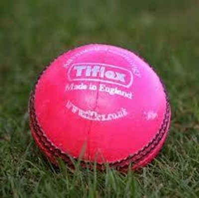 Colour-blind Rogers stands down from pink ball trial
