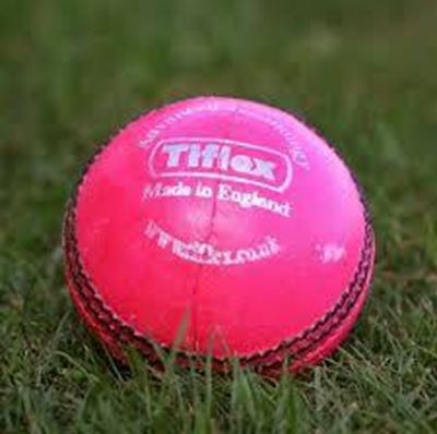 Colour-blind Rogers stands down from pink ball trial