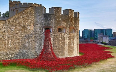 Final poppy planted to remember British WWI dead