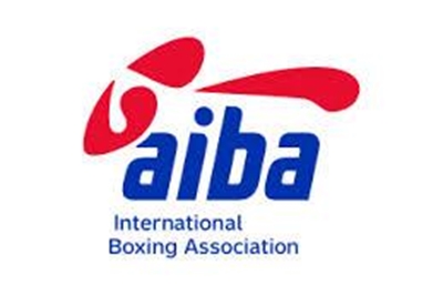 Boxing governing body: new pro comp already a hit