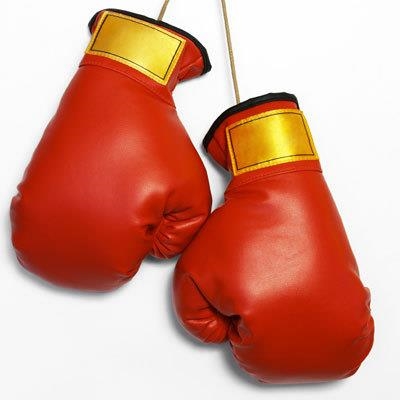 Boxing governing body: new pro comp already a hit