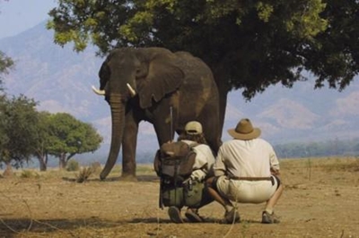 Field guide course for learners