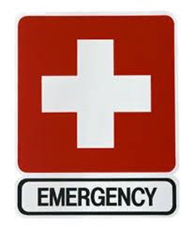 Over 200 pupils examined for food poisoning
