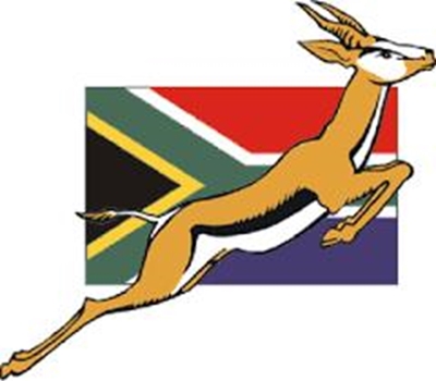 Boks trump England, France see of Wallabies