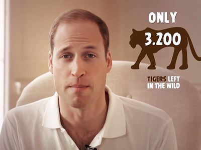 Prince William recruits Angry Birds to protect wildlife