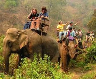 Thai elephant tramples man, runs off with tourists