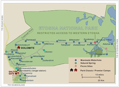 2 rhino poached in Etosha Park