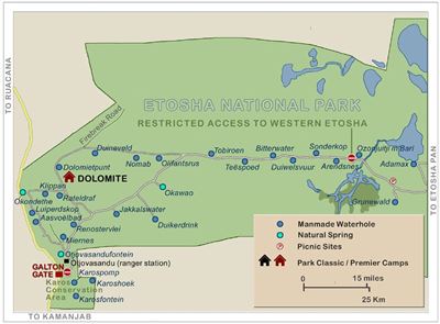 2 rhino poached in Etosha Park