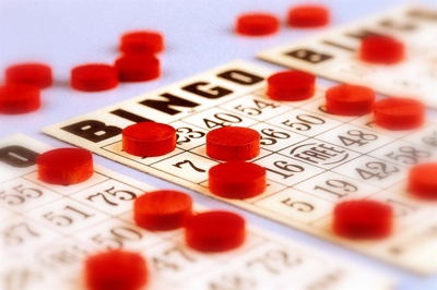Bingo for Garden Route SPCA