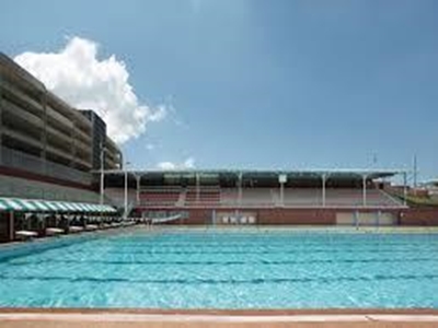 Joburg pools turn green again