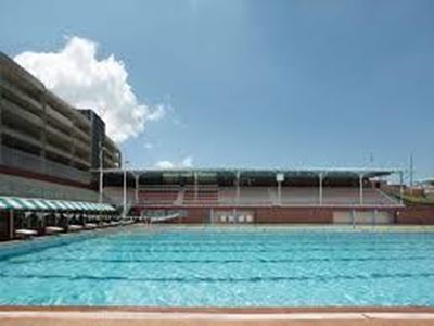 Joburg pools turn green again