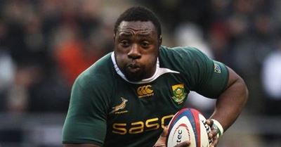 Springboks change eight for Cardiff test