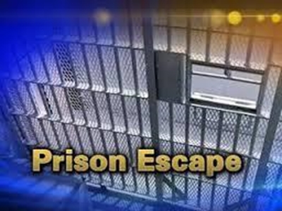 Criminal escapes Palm Ridge Court