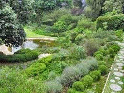 Home sellers and buyers to limit spread of alien vegetation