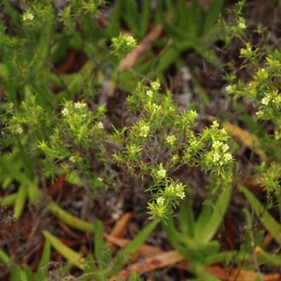 Diosma Reserve's expansion approved