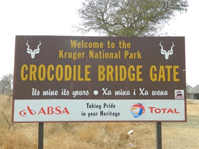 Crocodile kills golfer in Kruger Park