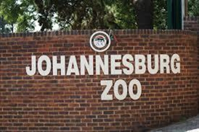 2 Johannesburg Zoo officials suspended over illegal animal imports