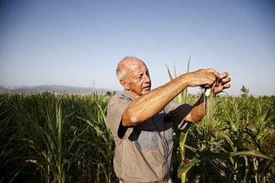 Farmers - time to wake up to the future