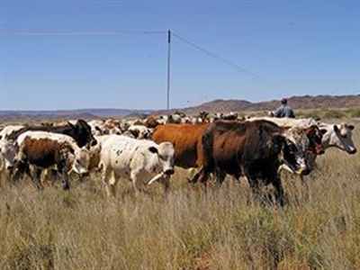Get the grazing right!