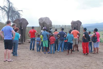 Kinders van Huis Triomf op wildplaas
